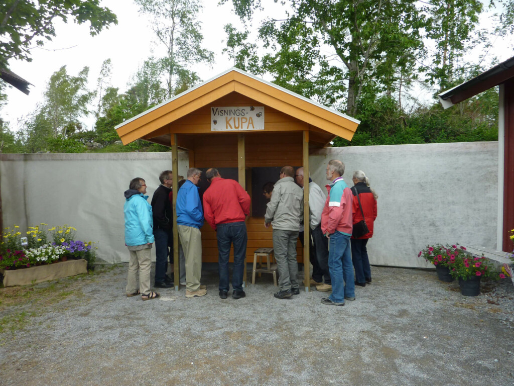 visningskupa (1)